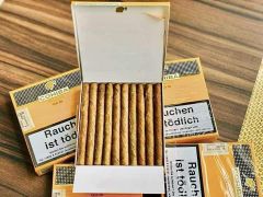 cigar cohiba clup 20