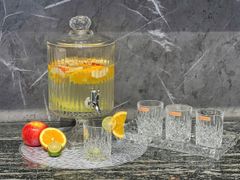 binh detox pha le vessen 4 lit co voi cao cap