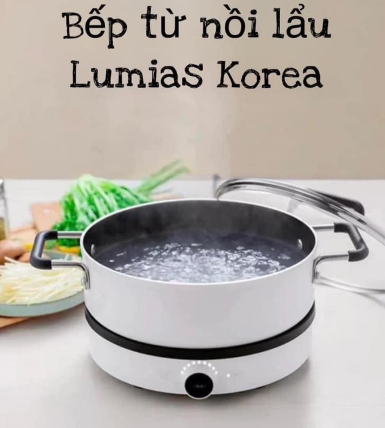 set bep tu don noi lau lumias korea gom 1 bep 1 noi made in korea