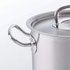 noitufisslerprocollectionstewpot28cm103l