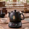 am sac thuoc bear sb ast35 ban tieng viet