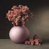 lohoaivvopheliafuchsia25cm