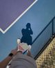 setvotpickleballfranklinxinxochinhhangfromusa