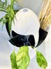 thungdungdokiemdecor3nganxoay360dohinhquatrung
