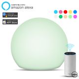 Đèn trang trí thông minh Tuya Smart Lamp - SL01