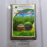 Cỏ Paspalum - chịu ngập úng