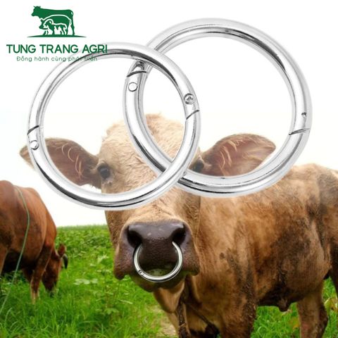Vòng inox 7cm 8cm dùng xỏ mũi Trâu Bò Tungtrangagri