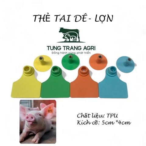 Thẻ tai Lợn chất liệu TPU, kích thước 5x4cm tungtrangagri