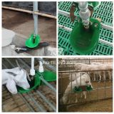 Máng nước cho Dê Cừu van đồng van nhưa bán tự động