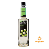  Syrup Davinci Dừa (Coconut) - Chai 750ml 