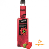  Syrup Davinci Gourmet đủ mùi - Chai 750ml 