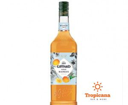  SET 6 Syrup Giffard - Chai 1L 