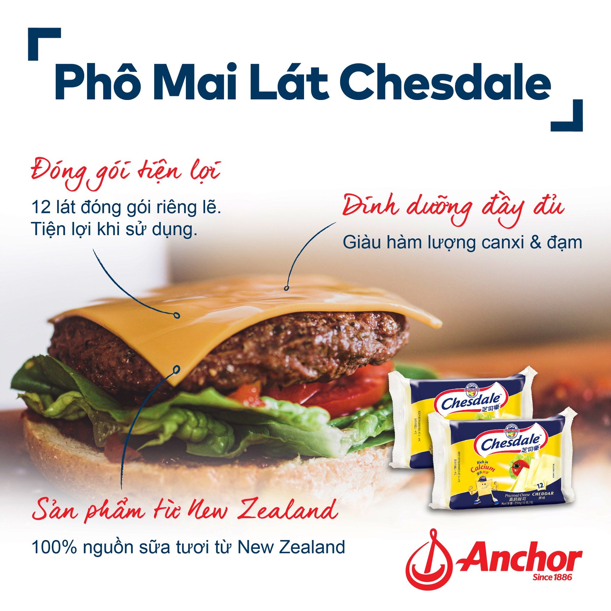  Phô mai Cheddar Chesdale New Zealand vị sữa gói 12 lát - Gói 250g 