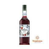  SET 6 chai Syrup Giffard - Chai 1L 