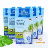  Sữa tươi tiệt trùng Full Cream OldenBurger 1L 