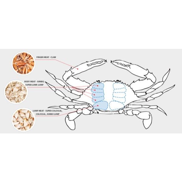  Thịt Thân/Càng Ghẹ Ocean Gems Đóng - Hộp 454gr 