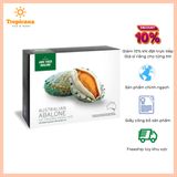  Bào Ngư viền xanh Úc Jade Tiger Abalone đông lạnh 8-10con/kg 