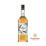  Syrup Giffard Vanila - Chai 1L 