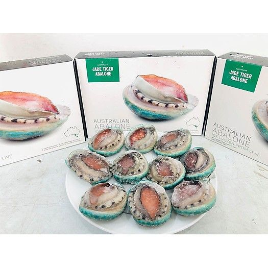  Bào Ngư viền xanh Úc Jade Tiger Abalone đông lạnh 8-10con/kg 