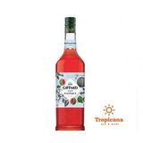  SET 6 chai Syrup Giffard - Chai 1L 