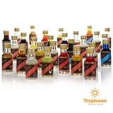  Hương Rayner - Tinh dầu đủ mùi - Lọ 28ml 