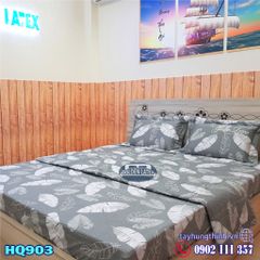 Drap mền cotton hàn quốc HQ903