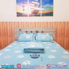 Drap mền cotton hàn quốc HQ902