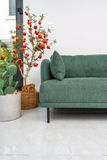  Sofa Con Voi, 3 Chỗ Ngồi, Màu Xanh Rêu 