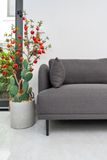  Sofa Con Voi, 4 Chỗ Ngồ, Màu Xám Đậm 