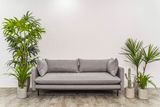  Sofa Fresh, 3 Chỗ Ngồi 