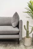  Sofa Fresh, 3 Chỗ Ngồi 