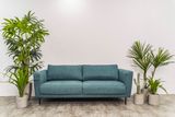  Sofa La La Land, 3 Chỗ Ngồi, Màu Xanh Rêu 