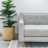  Sofa Sữa, 3 Chỗ Ngồi 