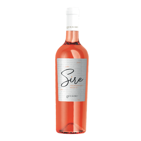 Vang Ý – Dailywine - Vang ngon mỗi ngày
