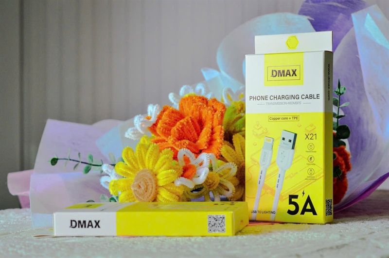 Cáp Sạc Dmax X21 - USB.IP - Iphone -1m (sl20-1/30-2/50-3)
