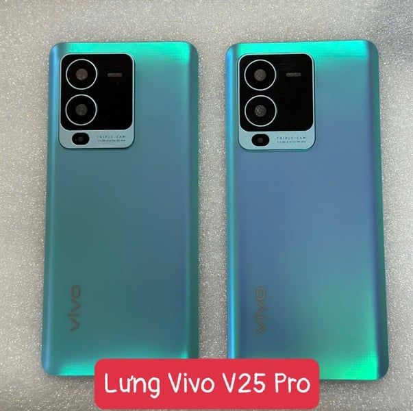 Lưng Vivo V25 Pro 5G - Xanh Dương ( Có KC )