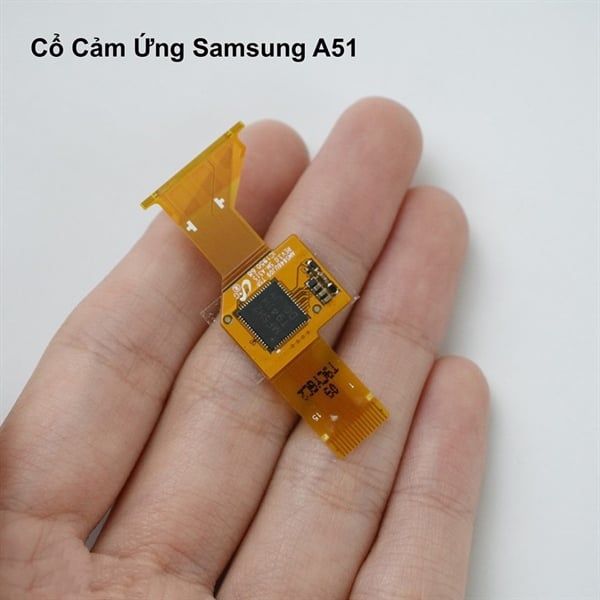 Cổ Cáp Cảm Ứng Samsung A51 / A515