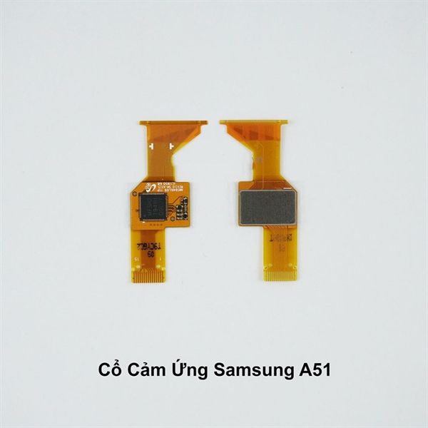 Cổ Cáp Cảm Ứng Samsung A51 / A515