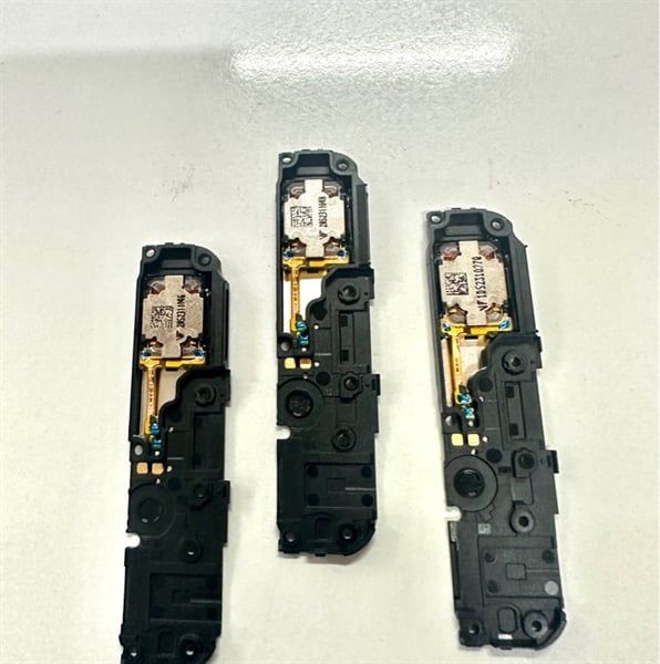 Chuông / Loa ngoài Oppo Realme C67 Zin