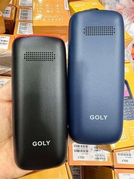 Điện Thoại GOLY C101 4G - new hãng- BH 12T -pin 5C