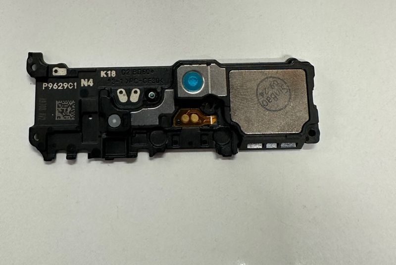 Loa Ngoài / Chuông Samsung Note 10 Plus Zin