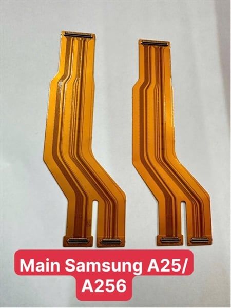 Cáp Nối Main Samsung A25 / A256 Zin