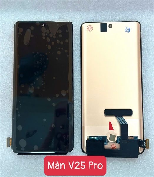 Màn Hình Vivo V25 Pro 5G ( Zin New )