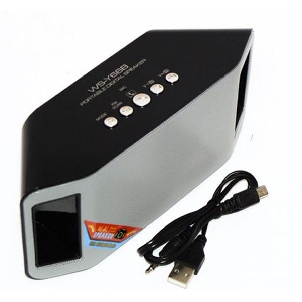 Loa Bluetooth Ws-Y66b