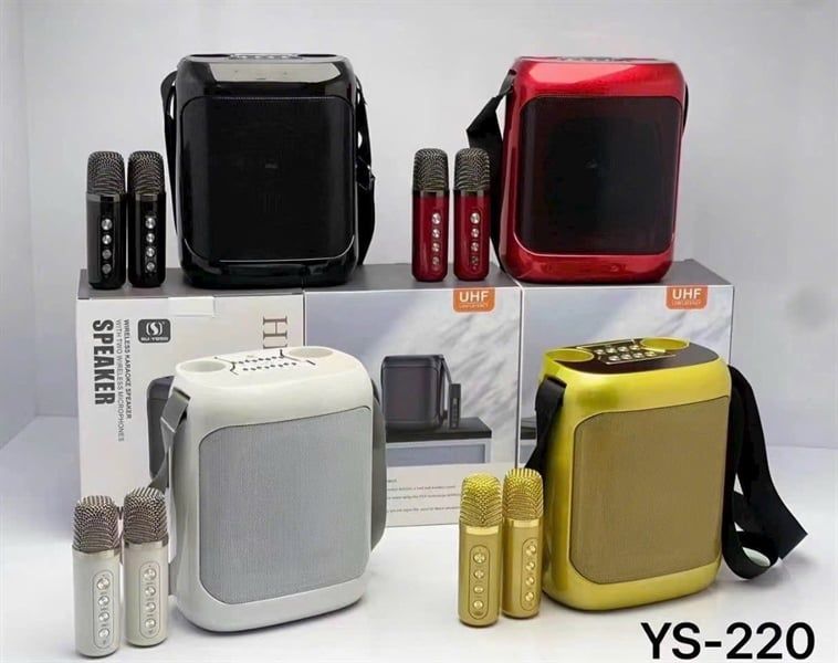 Loa Nhạc Bluetooth YS 220 - 2 mic