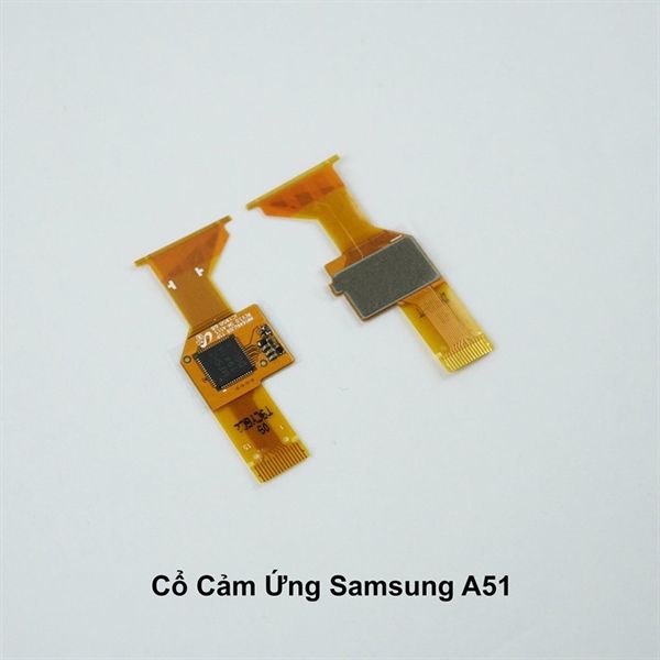Cổ Cáp Cảm Ứng Samsung A51 / A515