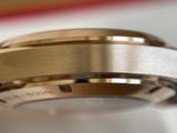 OMEGA AQUA TERRA 150M 231.53.43.22.06.002  23153432206002 CO‑AXIAL GMT 42.5