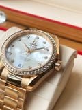 Omega Aqua Terra 150m Master Chronometer Red Gold 231.55.39.21.55.001 23155392155001