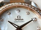 Omega Seamaster AquaTerra Diamond Benzel 231.25.39.21.55.002 23125392155002, 38.5mm