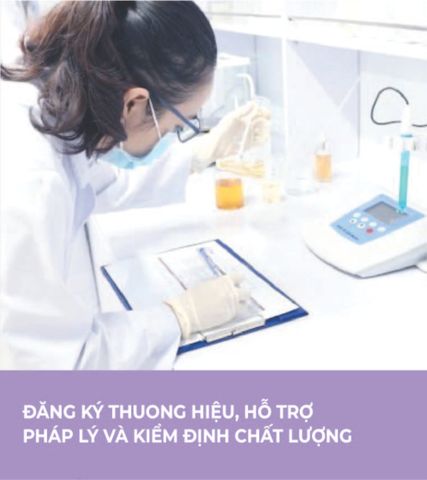 Đăng ký thương hiệu, hỗ trợ pháp lý, kiểm định chất lượng